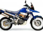 Suzuki DR 800S Big